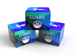 [MA05-000012] Human NTX ELISA Kit 